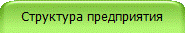 Структура предприятия